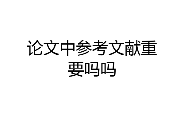 论文中参考文献重要吗吗
