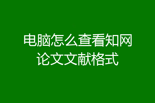 电脑怎么查看知网论文文献格式