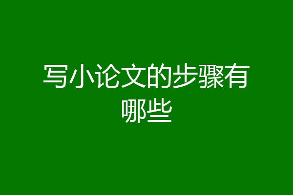 写小论文的步骤有哪些