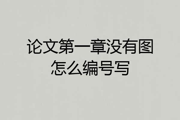论文第一章没有图怎么编号写