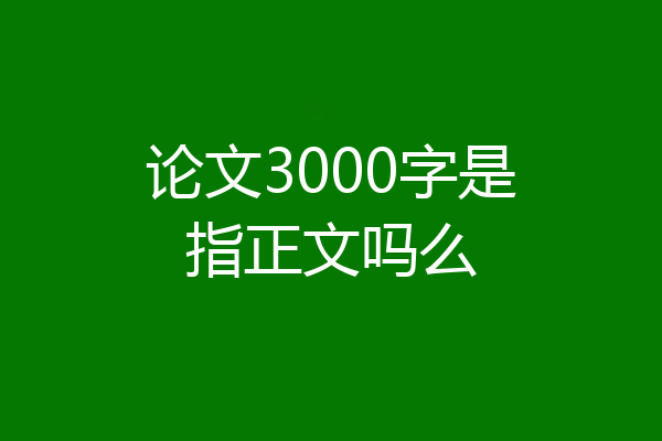 论文3000字是指正文吗么