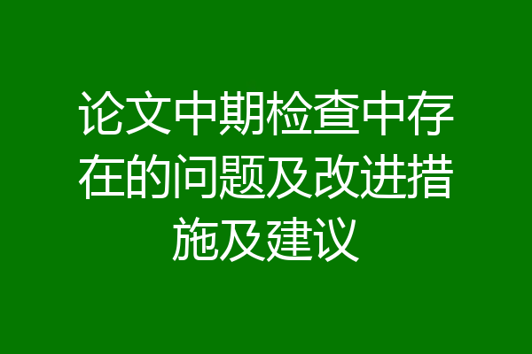 论文中期检查中存在的问题及改进措施及建议