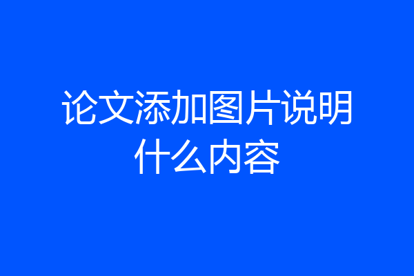 论文添加图片说明什么内容