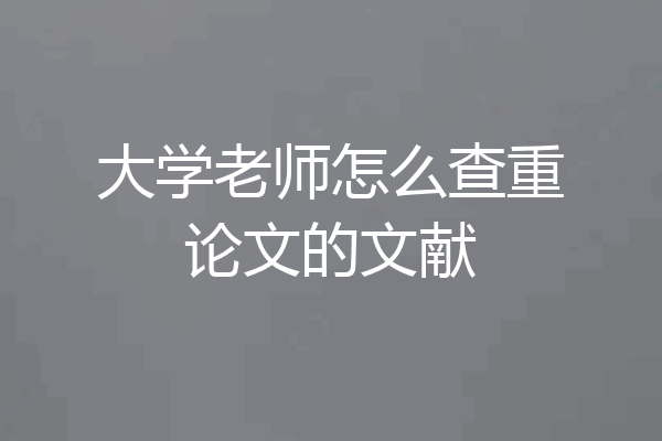 大学老师怎么查重论文的文献