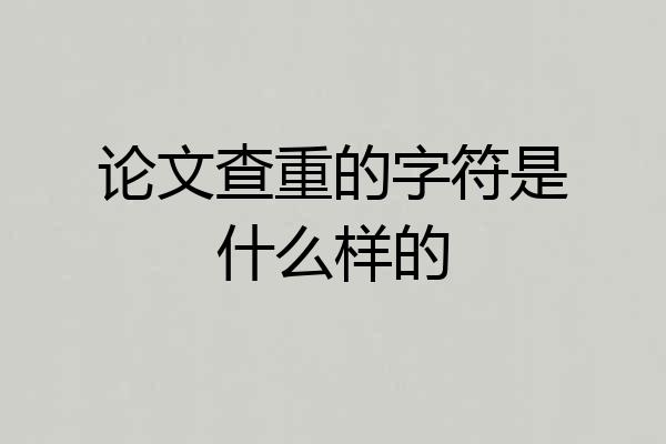 论文查重的字符是什么样的