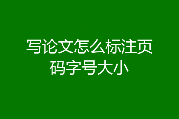 写论文怎么标注页码字号大小