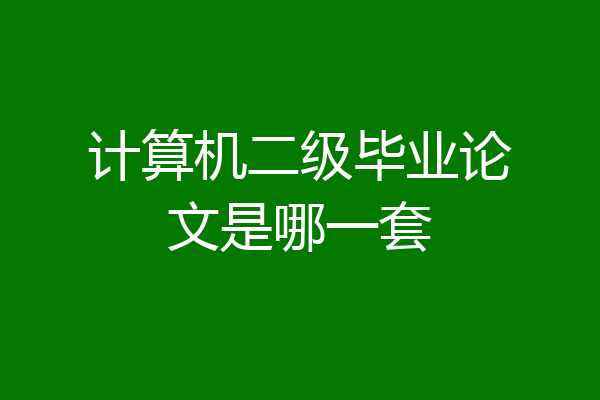 计算机二级毕业论文是哪一套