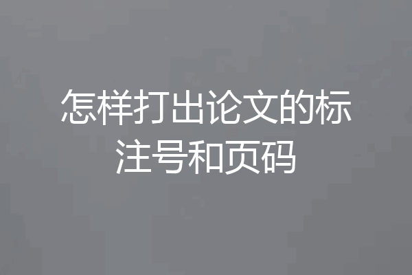 怎样打出论文的标注号和页码