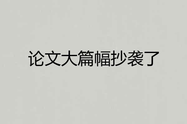 论文大篇幅抄袭了