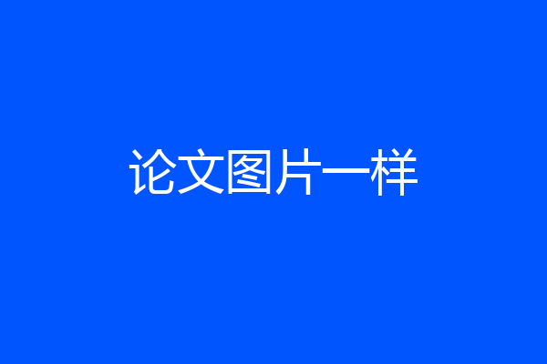 论文图片一样