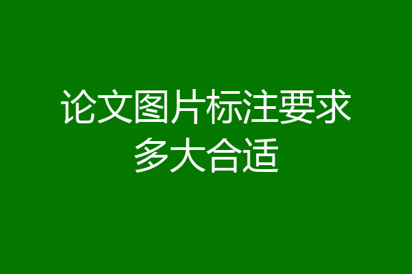 论文图片标注要求多大合适