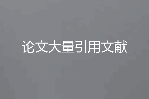 论文大量引用文献