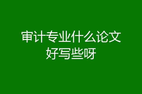 审计专业什么论文好写些呀