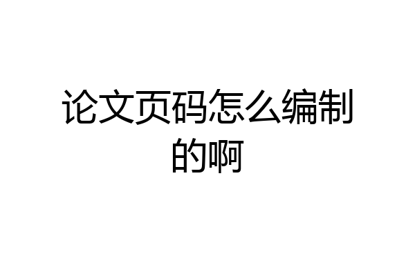 论文页码怎么编制的啊