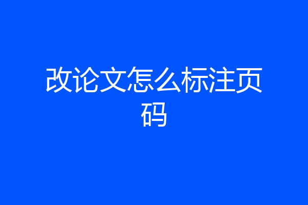 改论文怎么标注页码