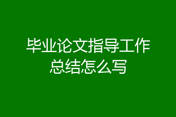 毕业论文指导工作总结怎么写