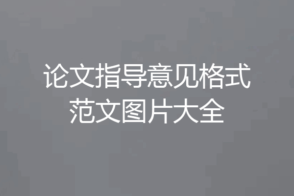 论文指导意见格式范文图片大全