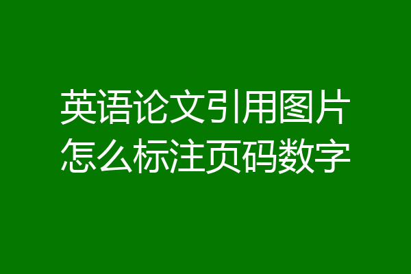 英语论文引用图片怎么标注页码数字