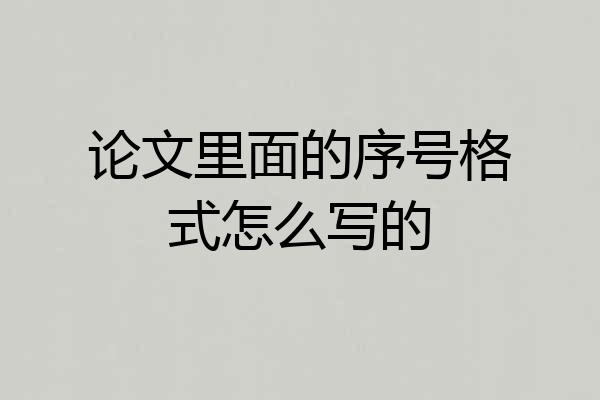 论文里面的序号格式怎么写的