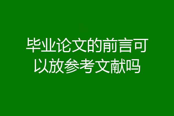 毕业论文的前言可以放参考文献吗
