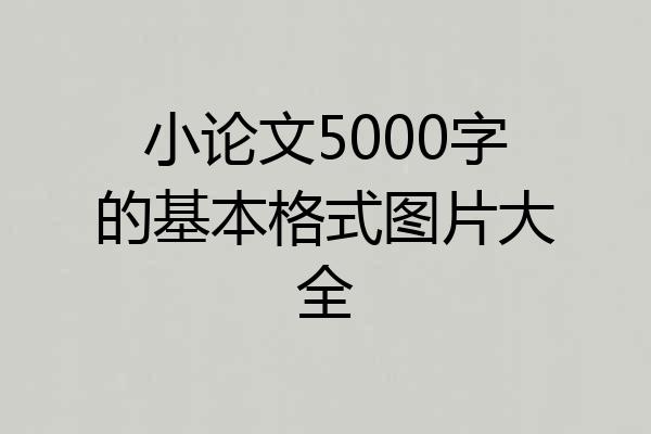 小论文5000字的基本格式图片大全