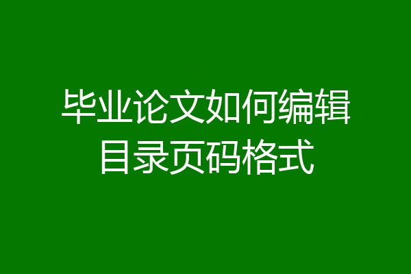 毕业论文如何编辑目录页码格式