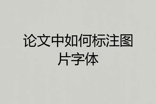 论文中如何标注图片字体