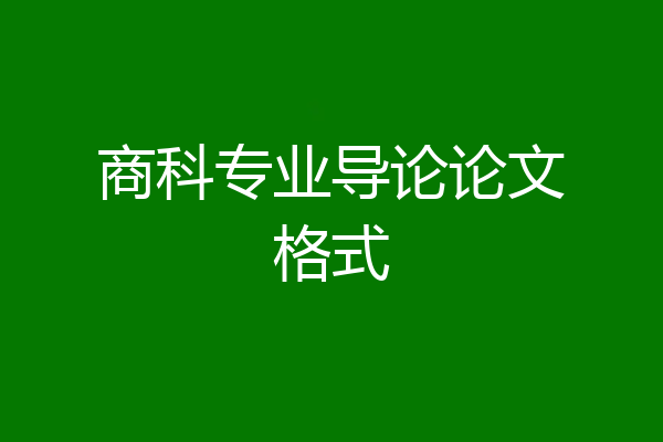 商科专业导论论文格式