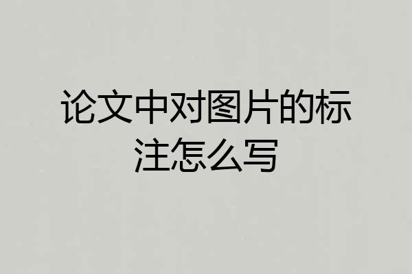 论文中对图片的标注怎么写