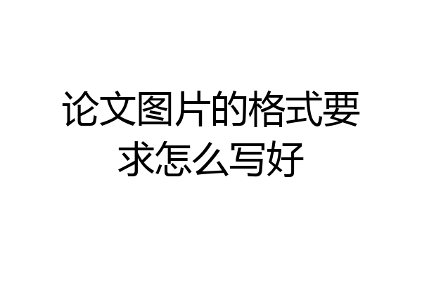 论文图片的格式要求怎么写好