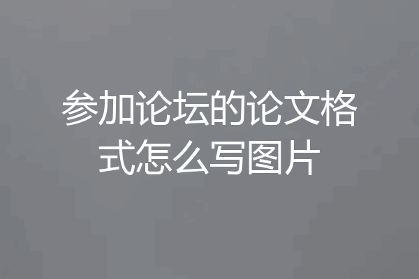 参加论坛的论文格式怎么写图片
