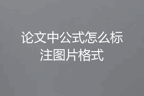 论文中公式怎么标注图片格式