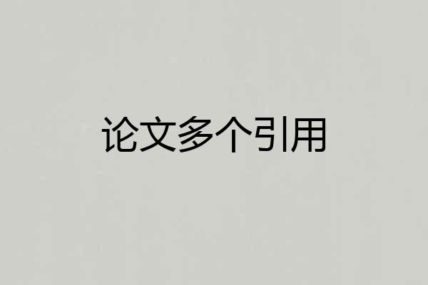 论文多个引用