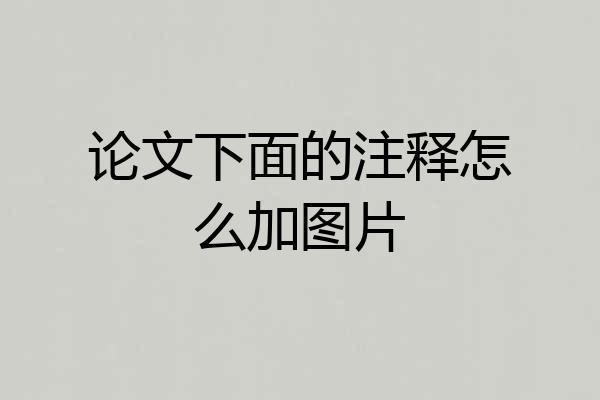 论文下面的注释怎么加图片