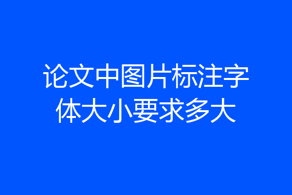 论文中图片标注字体大小要求多大