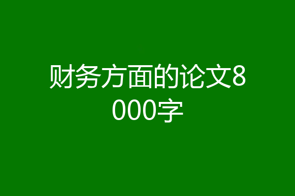 财务方面的论文8000字