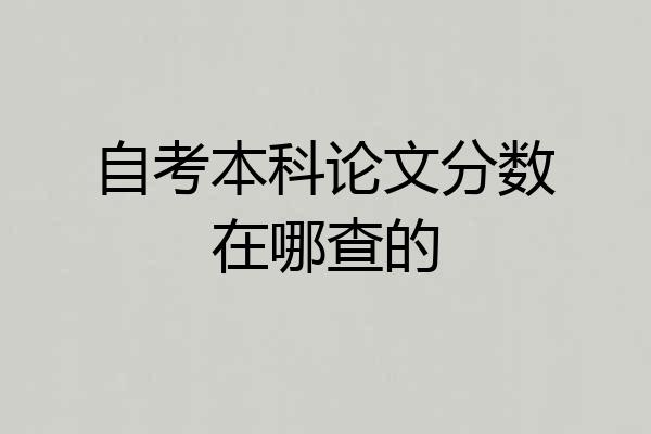 自考本科论文分数在哪查的