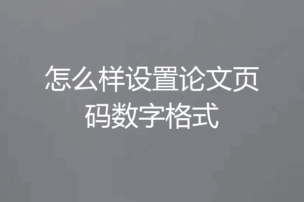 怎么样设置论文页码数字格式