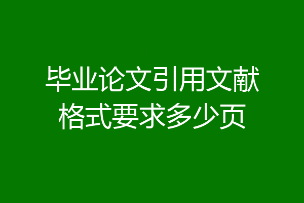 毕业论文引用文献格式要求多少页