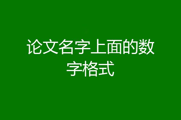 论文名字上面的数字格式