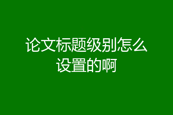 论文标题级别怎么设置的啊