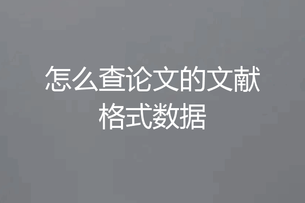 怎么查论文的文献格式数据