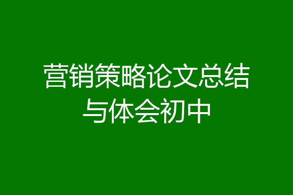 营销策略论文总结与体会初中