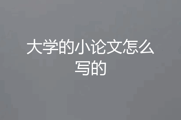 大学的小论文怎么写的