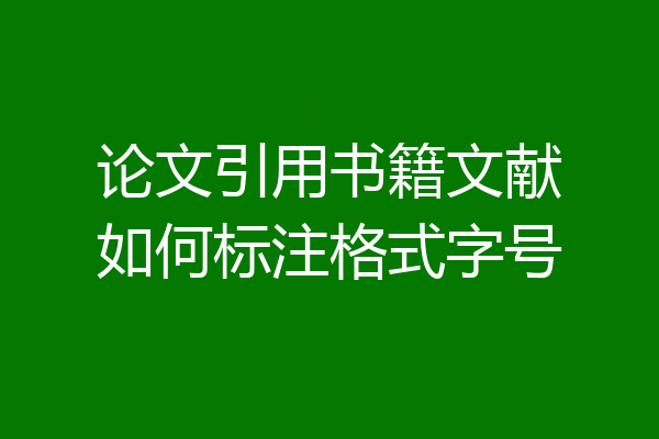 论文引用书籍文献如何标注格式字号