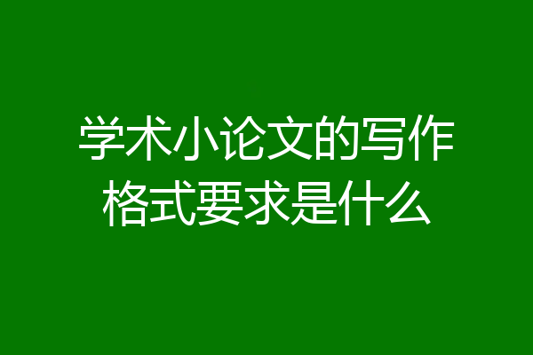学术小论文的写作格式要求是什么