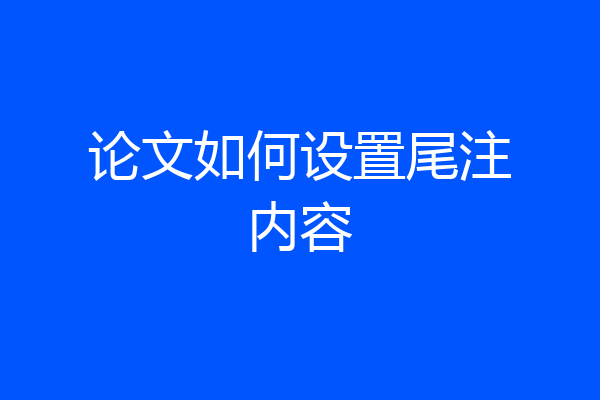 论文如何设置尾注内容