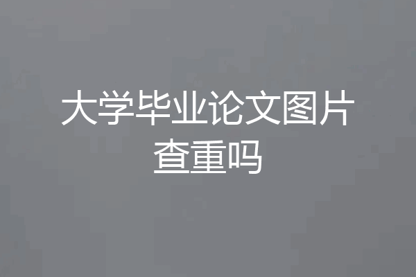 大学毕业论文图片查重吗