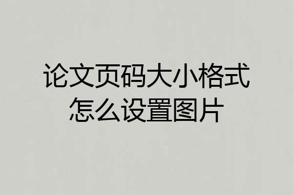论文页码大小格式怎么设置图片
