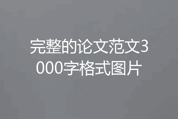 完整的论文范文3000字格式图片